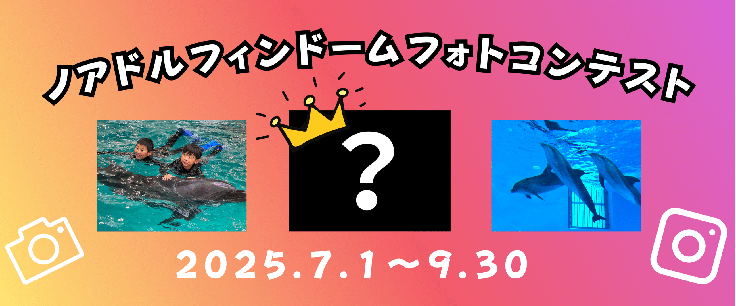 ノアドルフィンドームフォトコンテスト