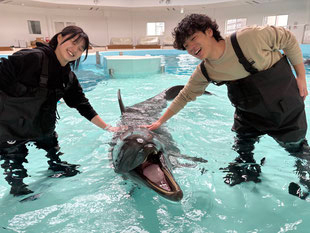 浅瀬で遊ぼう