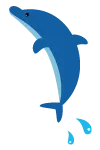 動くイルカ