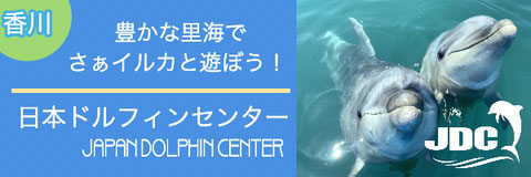 豊かな里海で、さぁイルカ遊ぼう！
日本ドルフィンセンター