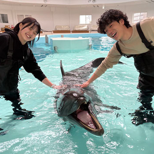 浅瀬で遊ぼう