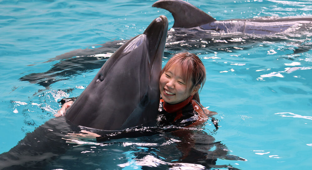 イルカとハグ体験している様子