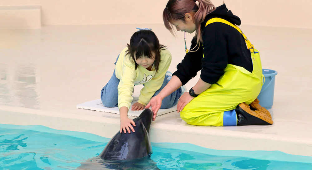 イルカと触れ合う子供の姿