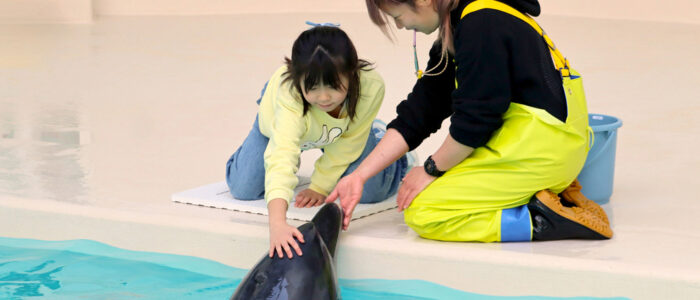 イルカと触れ合う子供の姿